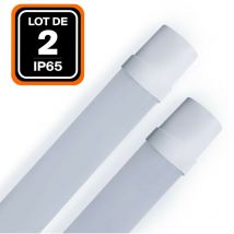 Europalamp - lot de 2 réglettes led 36W 120CM étanche IP65 blanc froid