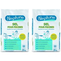 Lot de 2 sacs de sel de piscine 25 kg Neptune
