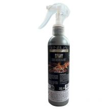 Lot de 2 sensual surodorant en spray 250ML - vanille