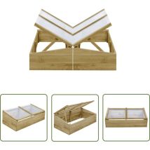 Lot De 2 Serres De Jardin Serre Tunnel De Jardin - Serre Pour Plantes Bois De Pin Imprégné 100x50x35 Cm Bv296814 - Bonnevie