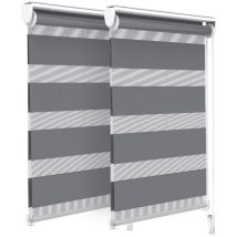 Lot de 2 Store enrouleur jour nuit double 50x150cm Gris