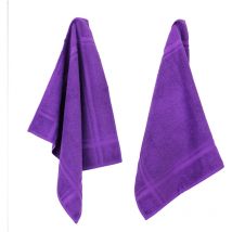 Lot de 2 torchons cuisine éponge pure kitchen terry
