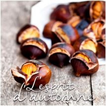 Lot de 20 serviettes papier marrons