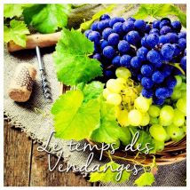 Lot de 20 serviettes papier vendanges