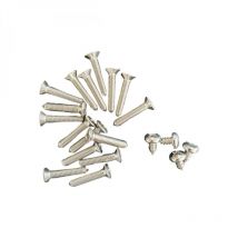 Lot de 20 vis pour skimmer de piscine 3139 - PWX14677 Hayward