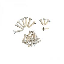 Lot de 22 vis pour skimmer de piscine avec liner - skxvs Hayward