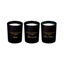 Babaflix - Lot de 3 Bougies décoratives cire de Soja naturel - Ambre/Thé Vert/Oranger