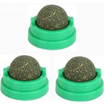 Lot de 3 Cataire Naturel adapté à la régulation de l'humeur du Herbe à chat,