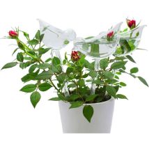 Globes D'Arrosage En Verre - Lot De 3 Avec Pointes Auto-arrosage En Forme D'Oiseau Pour Plantes, Intérieur/extérieur