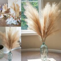 Lot de 3 Herbes de la Pampa Sechees Artificielle 110cm Deco Bohème pour Mariage Salon Chambre - Marron