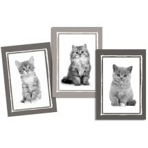 Lot de 3 Torchons Chatons