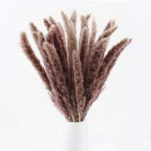 Mezheng - Lot de 30 panaches d'herbe de pampa séchée de 43,2 cm de haut Phragmites naturels communis artificiels en forme de bouquet de tiges de