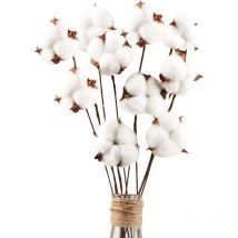 30 Pack Fleurs de Coton Sechee Naturelle Fleurs Sechees Tige Coton Fleur Naturel Fausses Branches Coton Fausses Plantes Décoration pour Balcon Maison