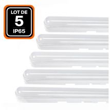 Lot de 5 boitiers étanche led intégrées 36W Blanc Froid 6000K 120CM