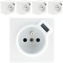 Lot de 5 Prises 2P+T + usb 2.4A en saillie blanc ral 9010