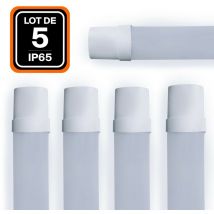 Europalamp - lote de 5 regletas led 36 w 120 cm impermeable IP65 blanco neutro
