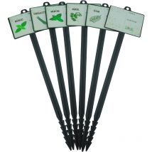 Mikado - Etiquettes pour plante aromates Basilic Ciboulette Menthe Persil Thym Vierge X6