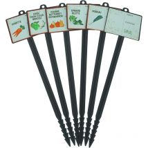 Mikado - Etiquettes pour plante recolte hivernale Carotte Chou Courge Epinard Poireau Vierge X6