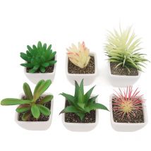 Lot de 6 plantes succulentes artificielles en pot, plantes artificielles en pot, fausses plantes d'intérieur en plastique, décoration pour salon,