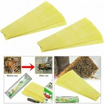 Lot de 60 abeilles acaricide médicament abeilles varroa médicament abeilles tueurs abeilles acaricide varroa solution d'éradication apiculture