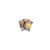 Lot de Haricot Nain Beurre (5 sachets de graines à semer) - 430g