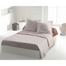 Parure de draps 3 pièces coton 57 fils terracotta - 240x300 cm -louxor