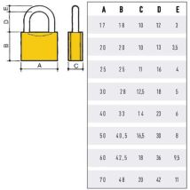 Cadenas à clé – Corps monobloc en laiton brossé – 60 mm – 2 clés – Niveau de sécurité élevé – Potent