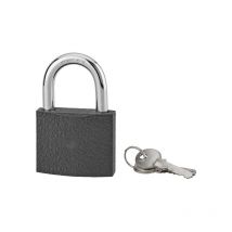 Lucchetto acera grigio con chiave, base 60 mm, arco in acciaio temprato, 3 chiavi Serruprix