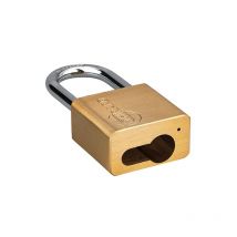 Lucchetto 407 cp arco acciaio 40mm per cilindro europeo non incluso, ottone, da esterno, waterproof Thirard