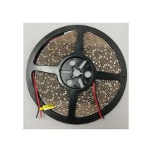 Lucibel - LDSBP12S Tira led blanco puro 5m 12V 15W/m 800Lm/m