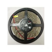 Ldsbps Pure white led strip 5m 12V 5W/m 200Lm/m - Lucibel