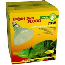 Bright Sun flood Jungle - 70W - Lucky Reptile