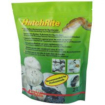 HatchRite 2L - Lucky Reptile