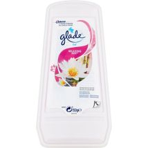 Brise Gel-erfrischungsspray 150 G Japanisch