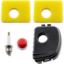 Toolive - Luftfilterabdeckung mit Luftfilter für Briggs & Stratton 300e 450e 550e Serie 595660, 594281, 799579, 5434, 4248, 09P702
