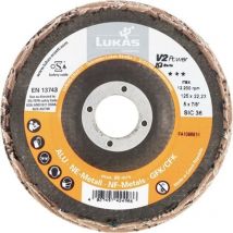 Lukas - Schleifscheiben mit Lamellen 125mm - Schruppscheiben V2 Power, Schleifscheiben aus Siliciumcarbid - 10 Stück