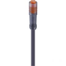 Lumberg Automation - 11285-1 Sensor-/Aktor-Steckverbinder, konfektioniert M8 Buchse, gerade 5.00 m Pol