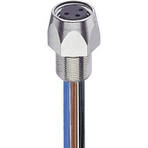 Lumberg Automation 11291-1 Sensor-/Aktor-Steckverbinder, konfektioniert M8 Buchse, Einbau 0.50 m Pol