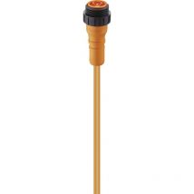 11569 Connettore confezionato per sensore o attuatore 7/8 Spina dritta 5.00 m Numero di poli: 2+PE - Lumberg Automation