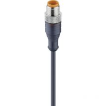 Lumberg Automation - 11810-1 Sensor-/Aktor-Steckverbinder, konfektioniert M12 Stecker, gerade 5.00 m p