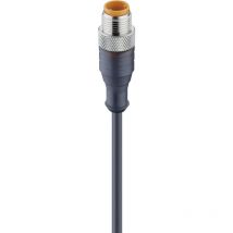 Lumberg Automation - 11890-1 Sensor-/Aktor-Steckverbinder, konfektioniert M12 Stecker, gerade 2.00 m p