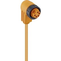 Lumberg Automation - 13769 Connecteur Confectionné Pour Capteurs/actionneurs 7/8 Femelle, Coudé 2.00 M Nombre De Pôles: