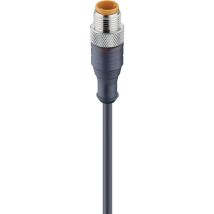 Lumberg Automation - 47076-1 Sensor-/Aktor-Steckverbinder, konfektioniert M12 Stecker, gerade 2.00 m p