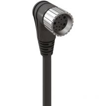 60689 Connecteur confectionné pour capteurs/actionneurs M23 femelle, coudé 10.00 m Nombre de pôles: - Lumberg Automation