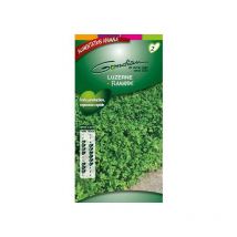 Luzerne Flamande alimentation animale 80gr - 30 m2