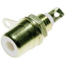 Lyndahl – LKC003WS – Embase femelle à encastrer plaqué or blanc – Adaptateur et connecteur pour câble courant faible – Type de port connectique, 