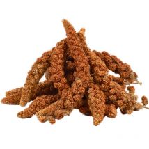 5 kg Lyra Pet Kolbenhirse rot