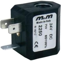 M & M International 24 V/dc (max)