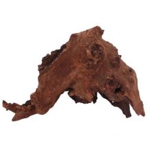 Mopani Wurzel 24x9x17 cm – Beliebte Aquarium Deko für Aquascaping – Schnelles Sinken – Robustes Holz – Herkunft Südafrika