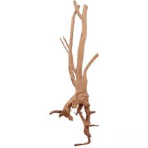 Aquaristikwelt24 - m Stump Wurzel Nr.2095 Holz Deko Aquascaping